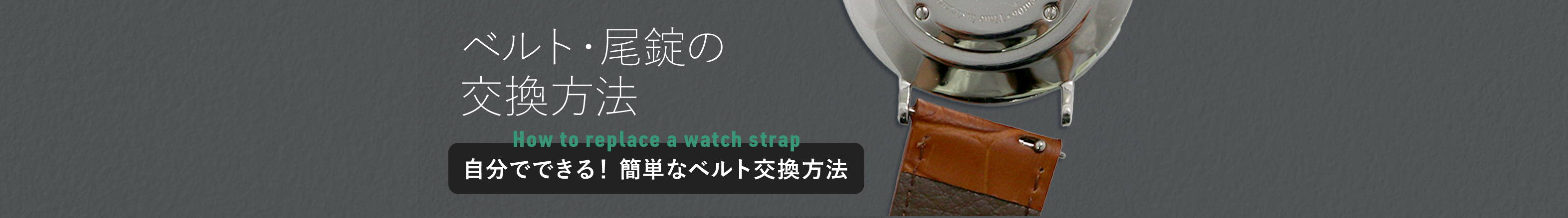 ベルト・尾錠能交換方法メインビジュアル