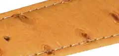 オーストリッチ（ダチョウ）