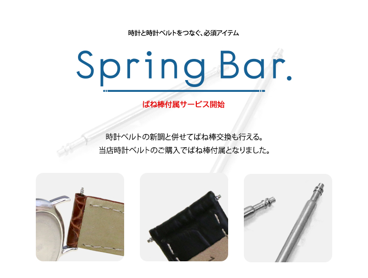 Spring Bar