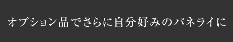 オプション品でさらに自分好みのパネライに