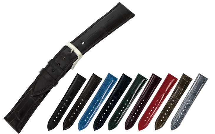 ADONARA C SHINY(アドナラシーシャイニー)