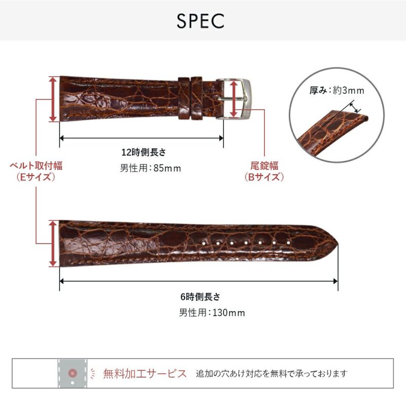 モレラート アマデウス アリゲーター マットアリゲーター ブラック 革ベルト 楽天市場】時計ベルト 20mm 時計 ベルト 22mm マット