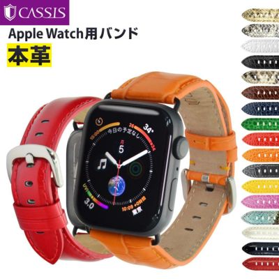 アップルウォッチ バンド タイプジージーエム TYPE GGM カシス CASSIS 革 レザー 本革 TYPE GGM タイプジージーエム 保護カバー付