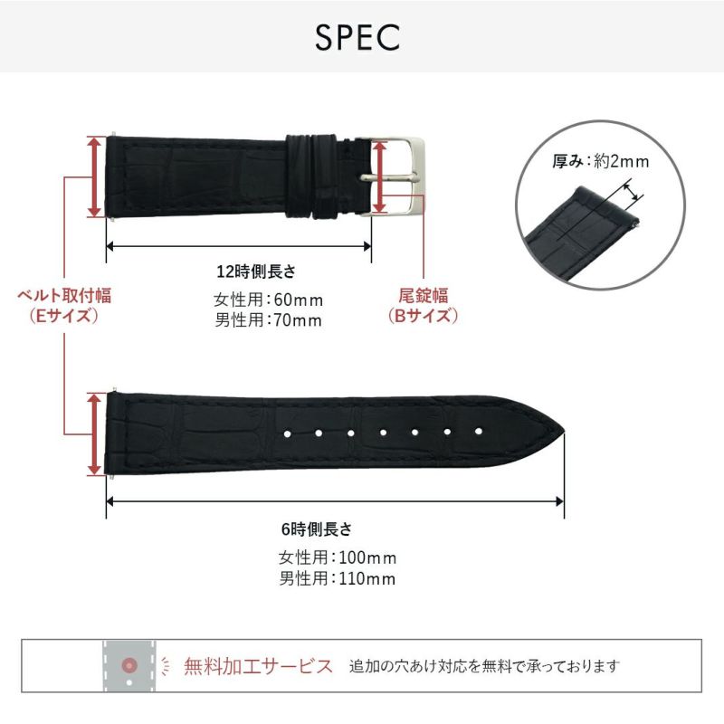 ロングアイランド1000専用アリゲーターベルト Amazon.co.jp: [輸入王オリジナル] 時計パーツ フランクミュラー