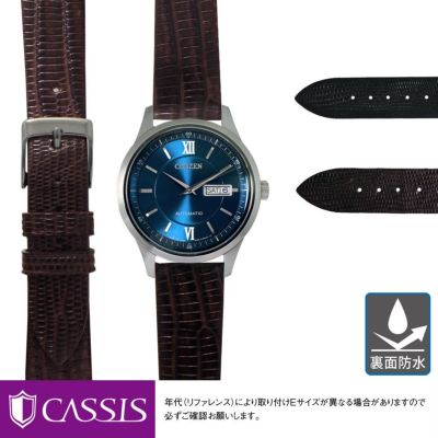 シチズン エコ・ドライブ用 CITIZEN Eco Drive にぴったりの時計