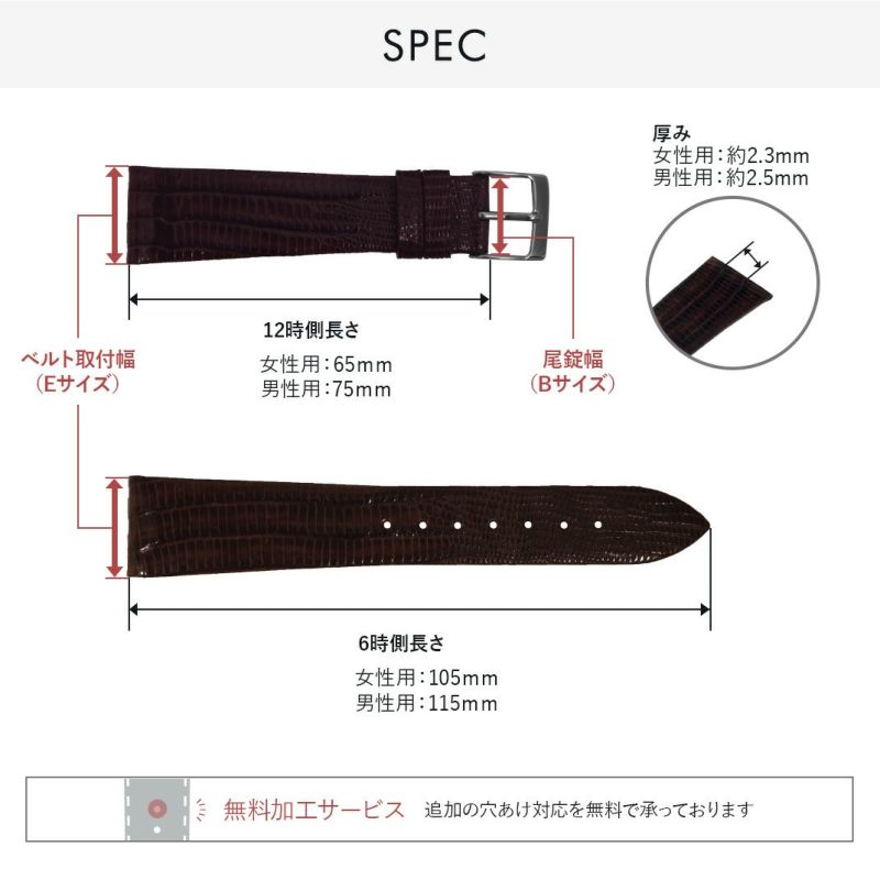 シチズン コレクション ロイヤルブルー 用 CITIZEN COLLECTION