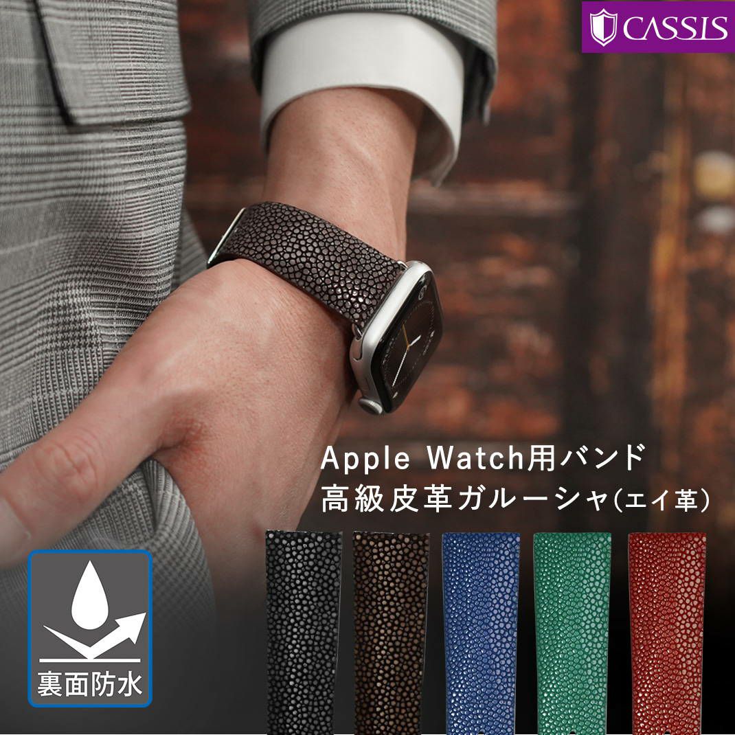 アップルウォッチ バンド ベルトapple watch 9 8 7 6 5 4 3 2 1 SE